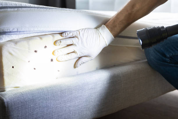 Best Pest Inspection Near Me  in Italy, TX