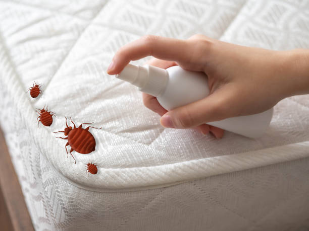 Best Pest Removal Services  in Italy, TX