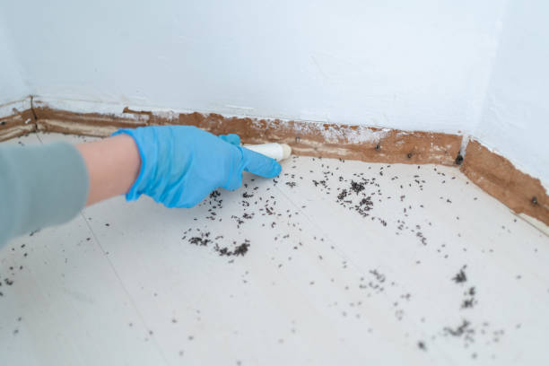 Best Wildlife Control Services  in Italy, TX