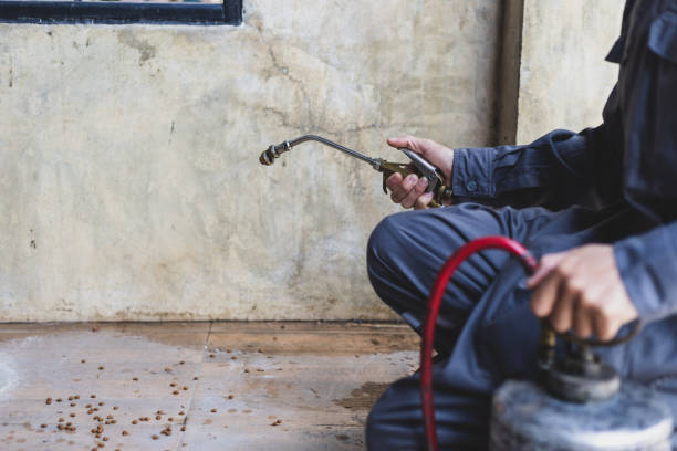 Best Local Pest Control Services  in Italy, TX